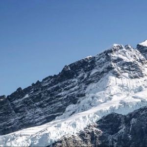 Meet your Posher, Jacey